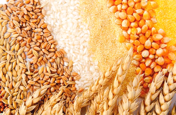Gov’t weighs lifting grain export ban