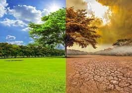 Climate change … My perspective