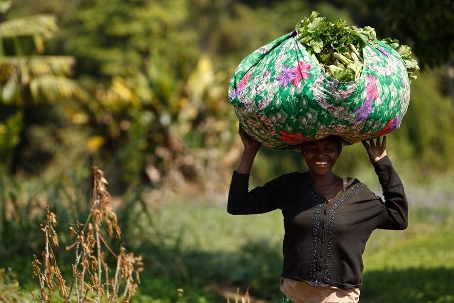 65 years of independence, let’s bounce back better with agric in focus