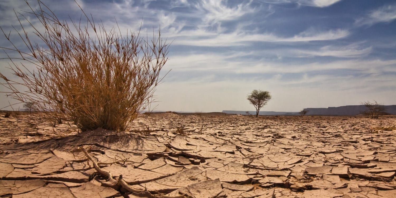 Climate Change Markets: The time for climate action is now - IPCC