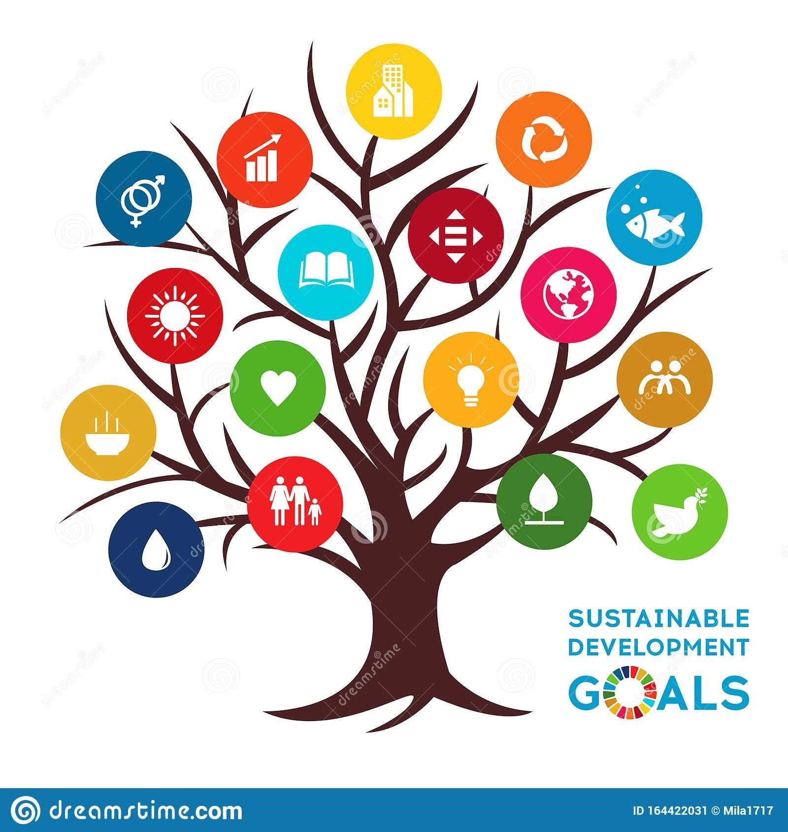 Anatomy of investing for sustainable development in Africa