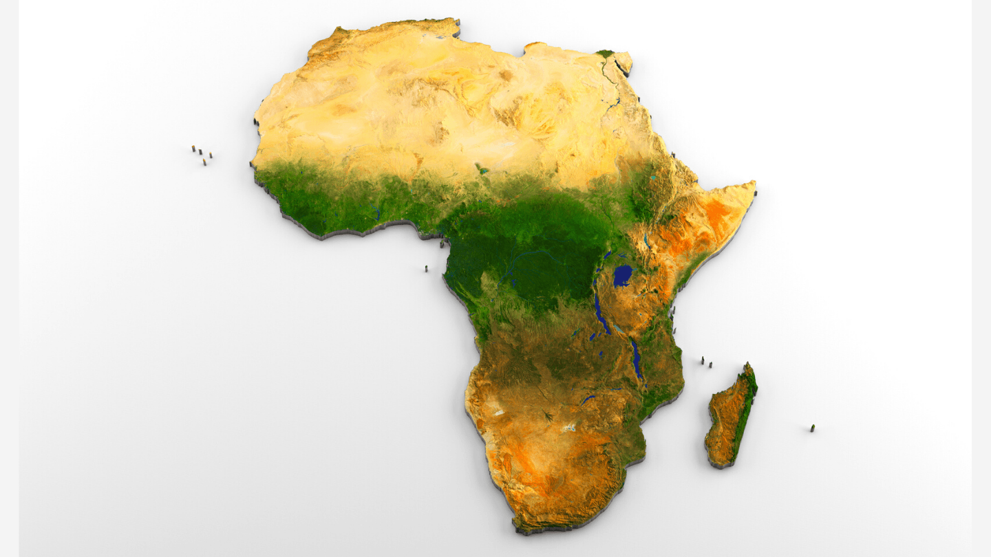 Africa's economy and the new global order