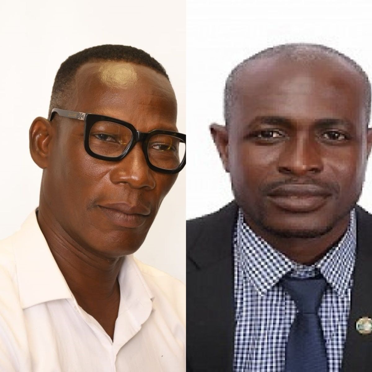 VEPEAG, GAVEX partner to boost vegetable production, exports