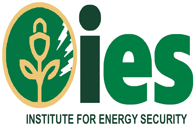 Fix TOR now – IES