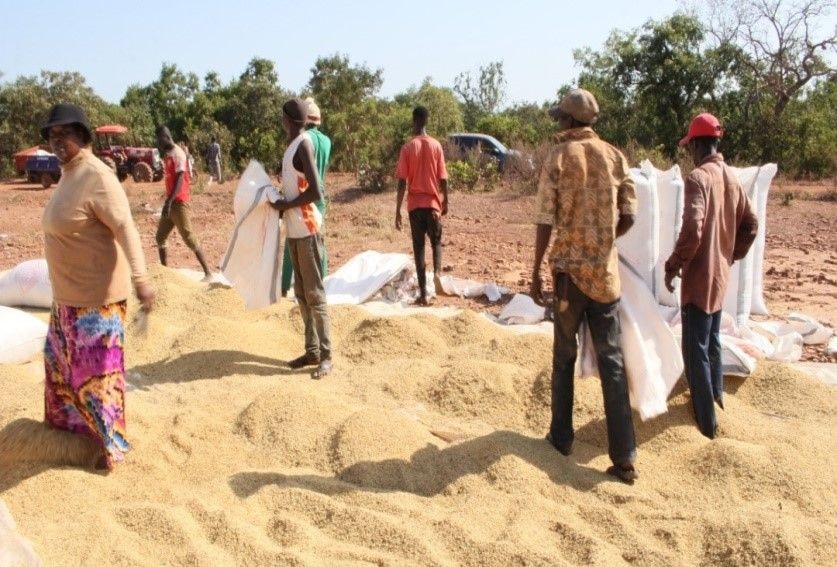 Rice processing mill at Kumbungu abandoned