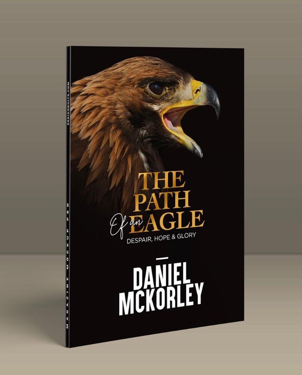 BOOK REVIEW: The Path of an Eagle – Despair, Hope and Glory’
