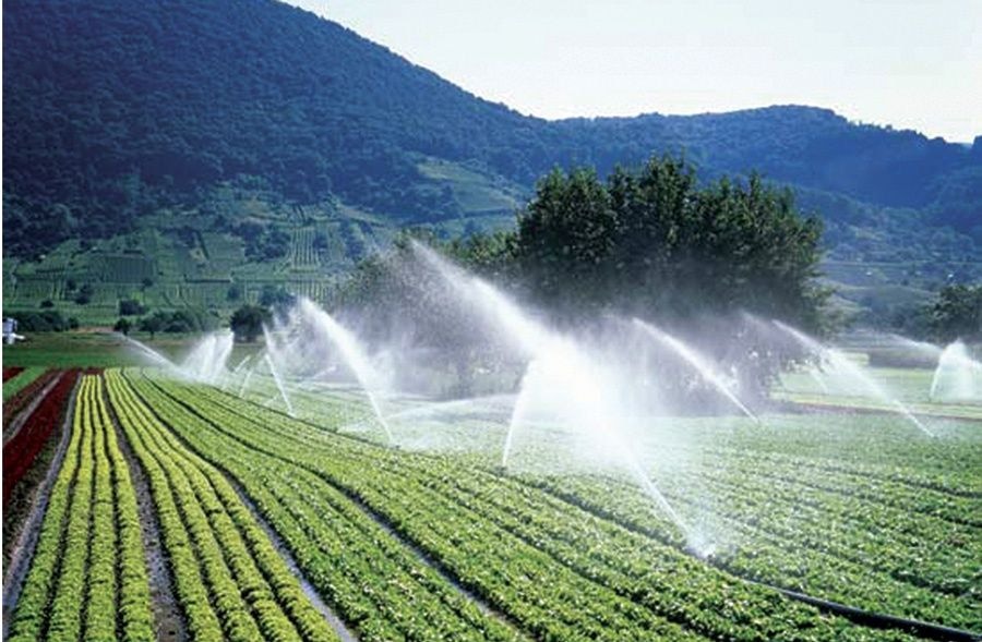 Climate Change, Resilience and Technology Transfer: The Role of WACWISA-UDS in Sustainable Agriculture through Green Energy and Irrigation