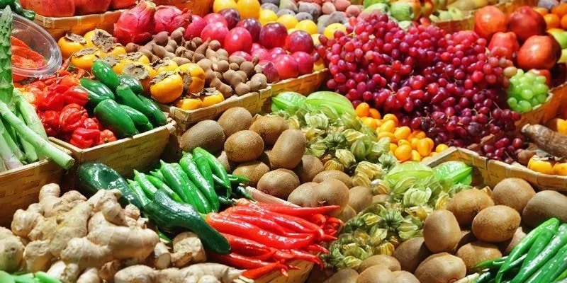 Russia's food aid cannot feed Africa