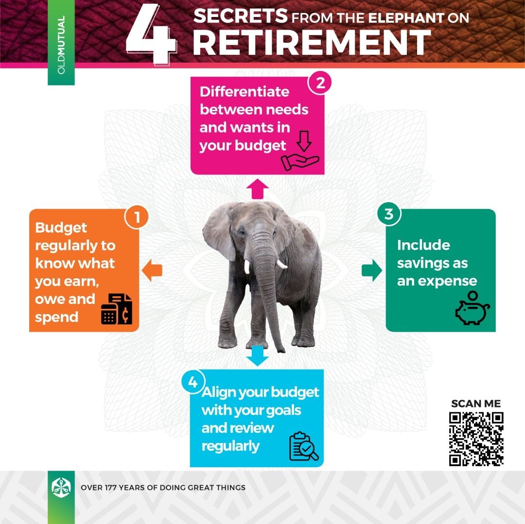 On the Money series by Old Mutual: Retirement Planning Lessons from the Elephant