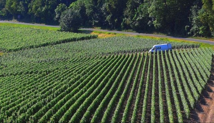 Invest in tree crop development to enhance climate change - TCDA Director