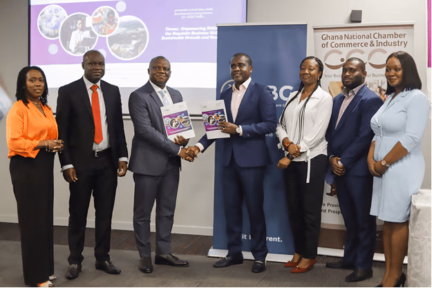 Dev’t Bank aids SMEs scale funding hurdle