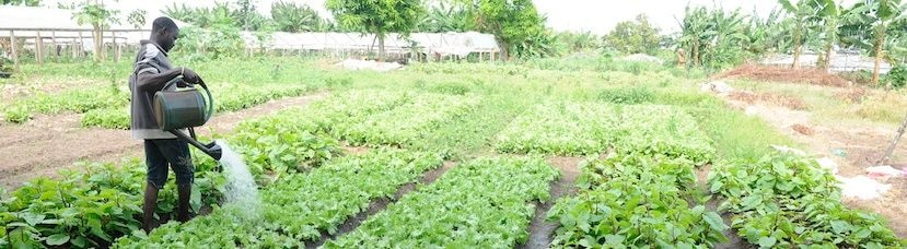 Creative climate finance in Africa