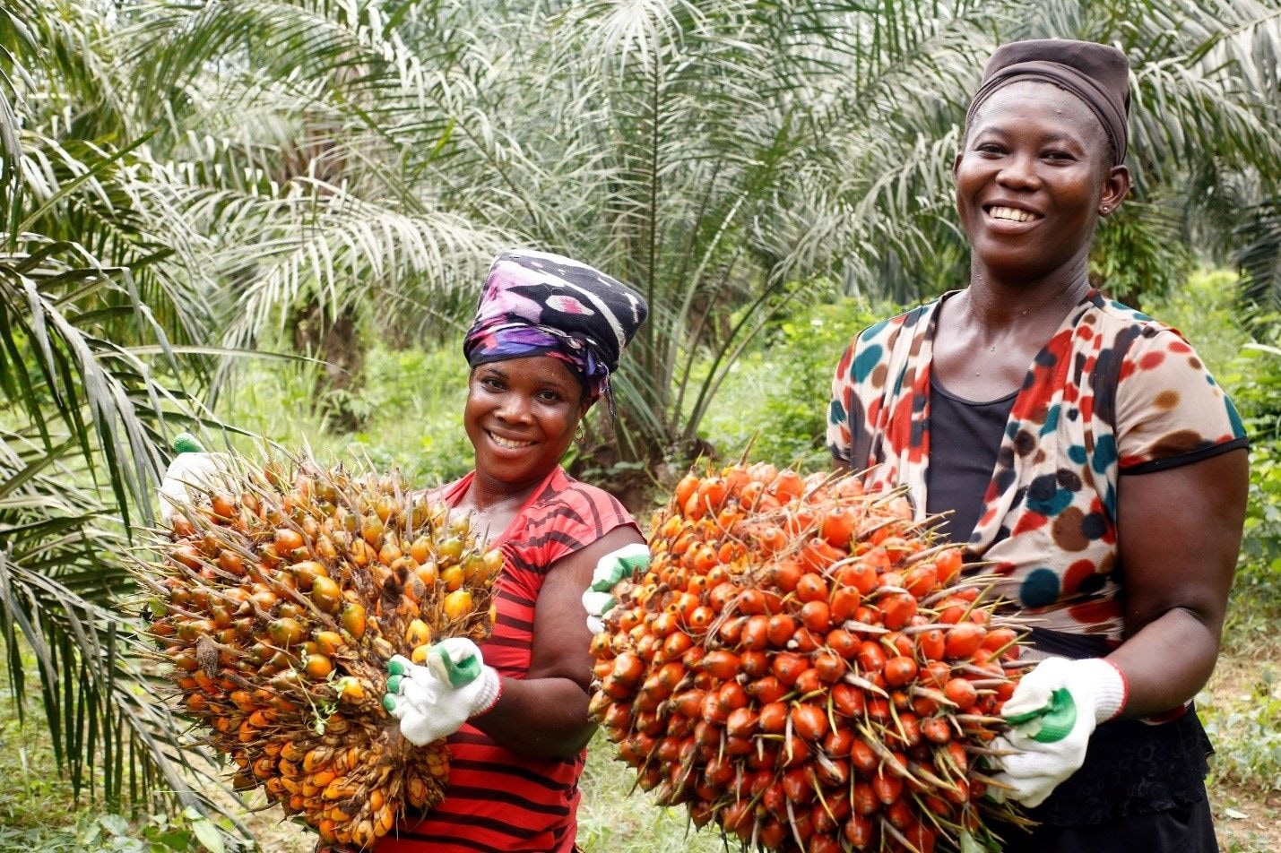 First Palm Oil Barometer challenges negative public perception on palm oil sustainability