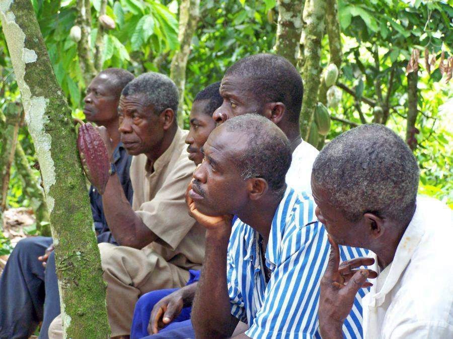 Cedi depreciation heightens demand for cocoa price increase
