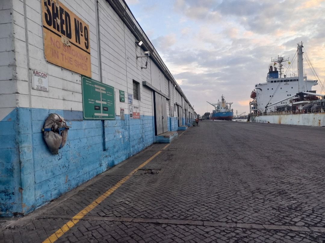 Tema Port: Horticulture logistics tussle derailing exports, inbound FX