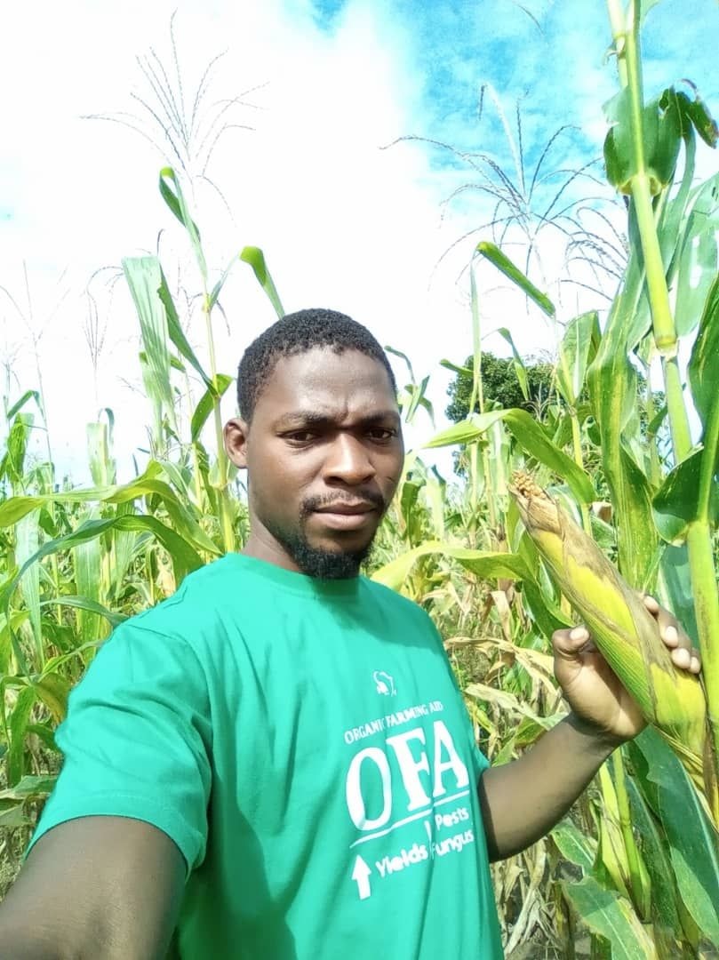Why Ghana doesn't really have a fertilizer crisis