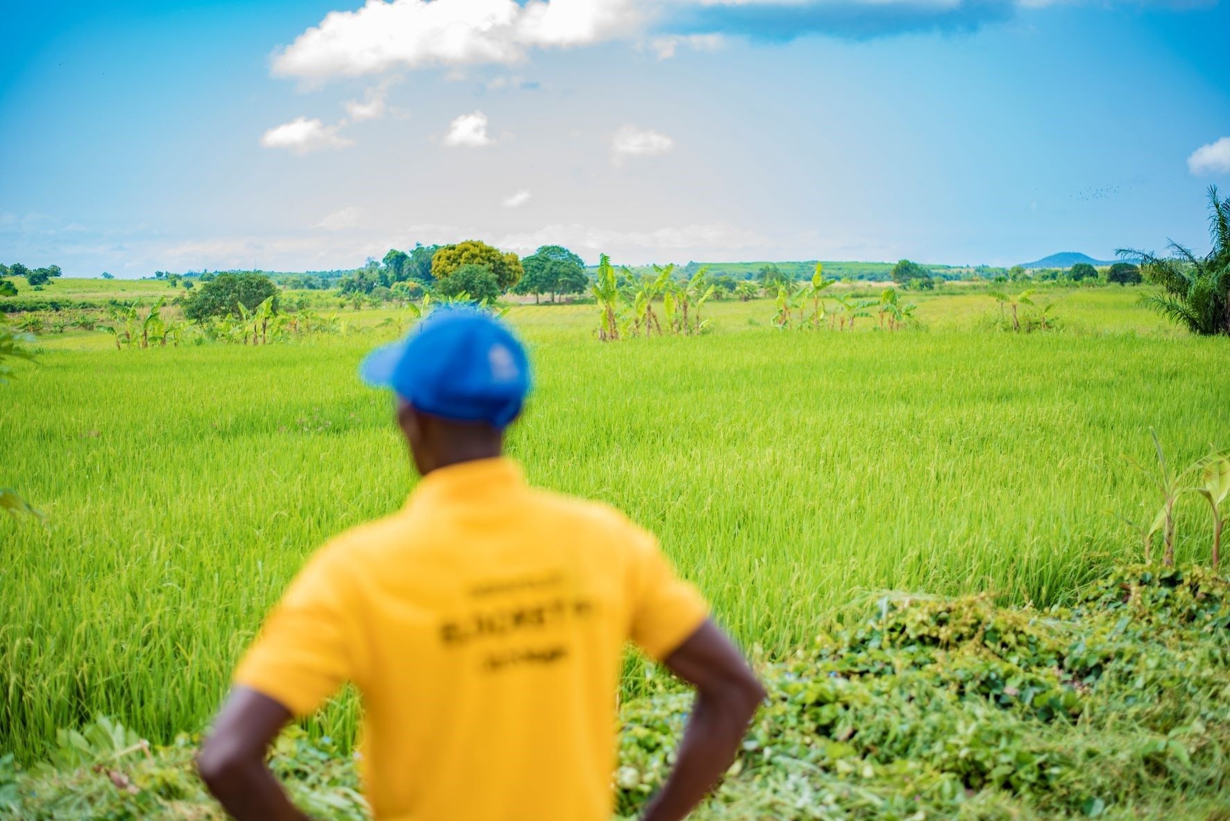 Ghana authorises transfer of mitigation outcomes to Switzerland