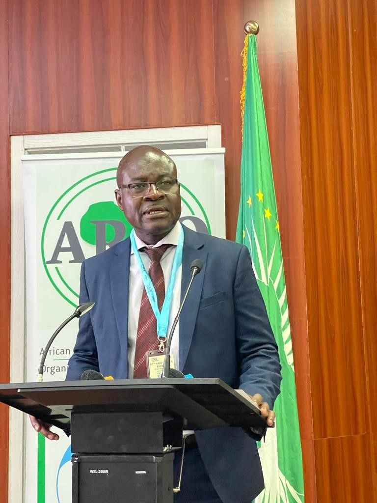 Let’s promote standards to industrialise Africa – Prof. Dodoo
