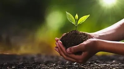 Our trees, our lives: Green Ghana Day