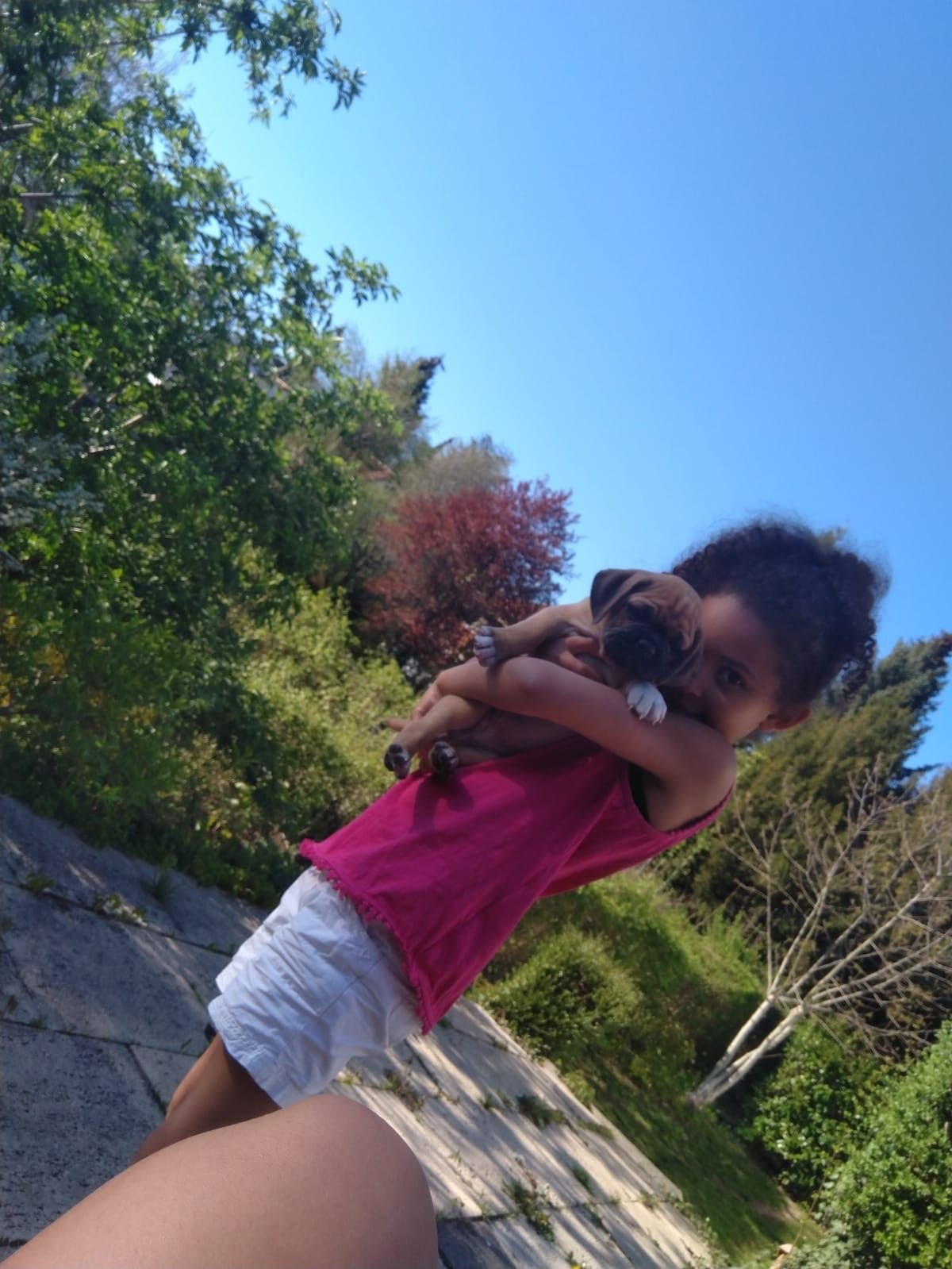 Meet Julia – a compassionate girl whose love and care for animals knows no bounds