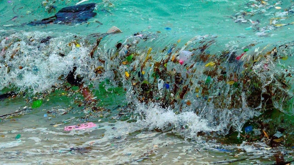 The Plastics Crisis and the Environment