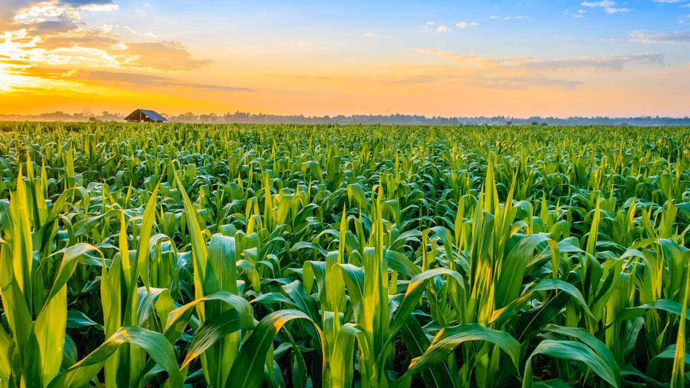 Editorial: Taking advantage of Indian bi-lateral relations to boost agricultural productivity