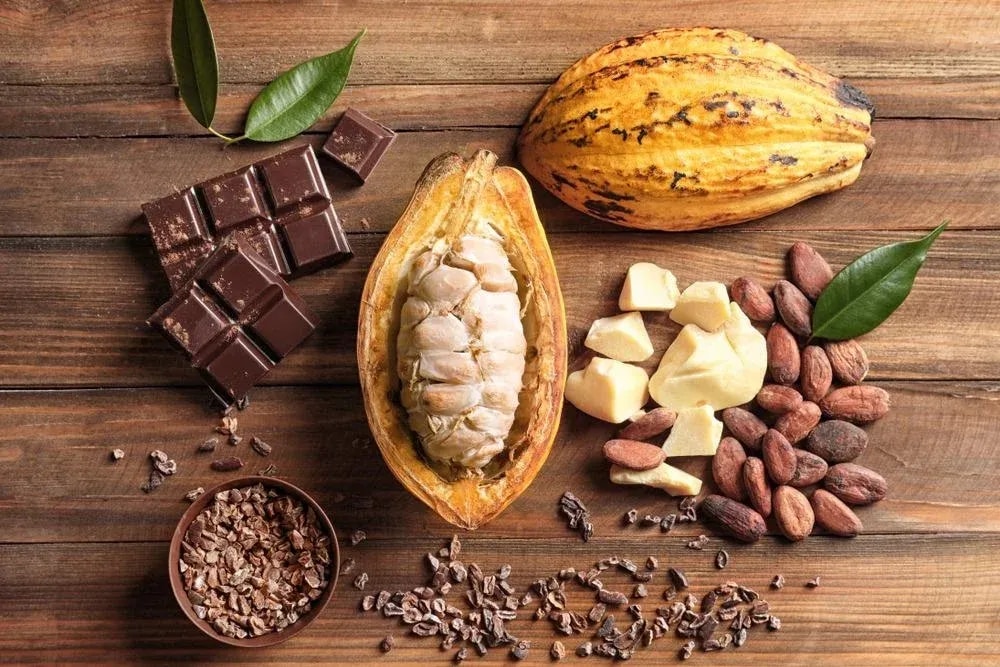 Editorial: Addressing key challenges in cocoa-chocolate value chain