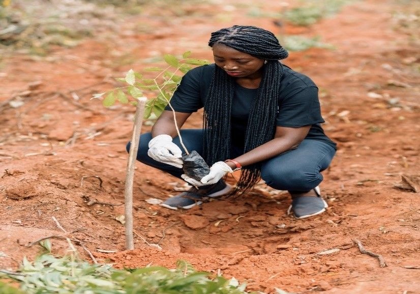 Environmental sustainability through PR practices