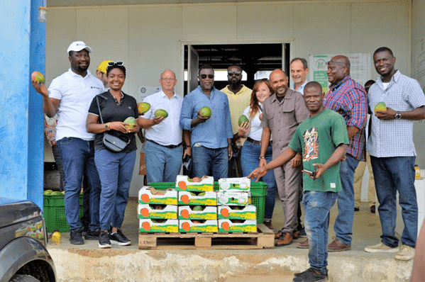 EU-funded WACOMP transforms mango industry