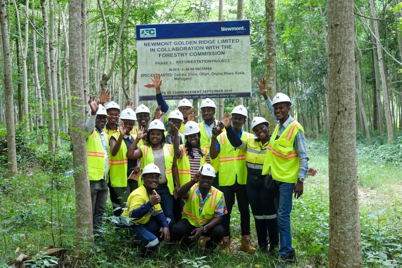 Newmont Akyem to hand over 60ha of cultivated forest to gov’t