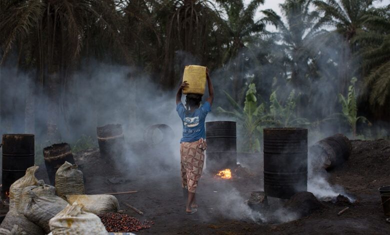 Whispers of Injustice: Socfin’s decade of legal battle echoing in communities across Cameroon