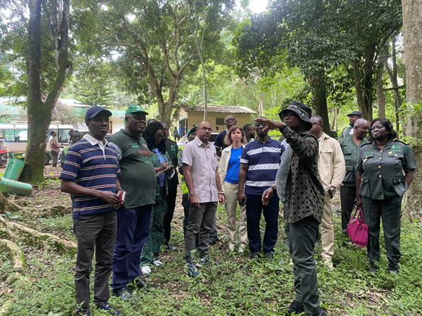 EU, Forestry Commission deepen commitment to sustainable forests