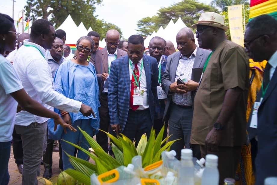 GEPA keen on developing coconut industry