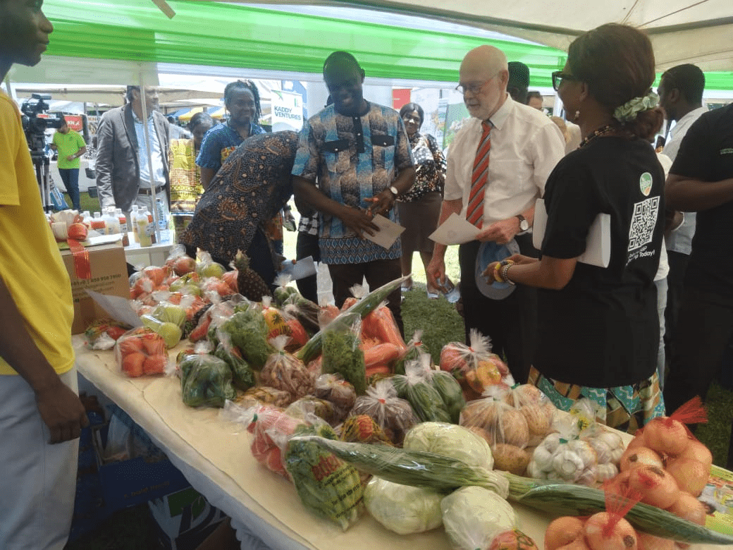 Ghana-Netherlands partnership to curb US$3.4bn agrifood imports