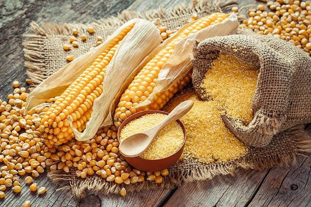 Over 40% of grains contain unacceptable levels of aflatoxin contamination