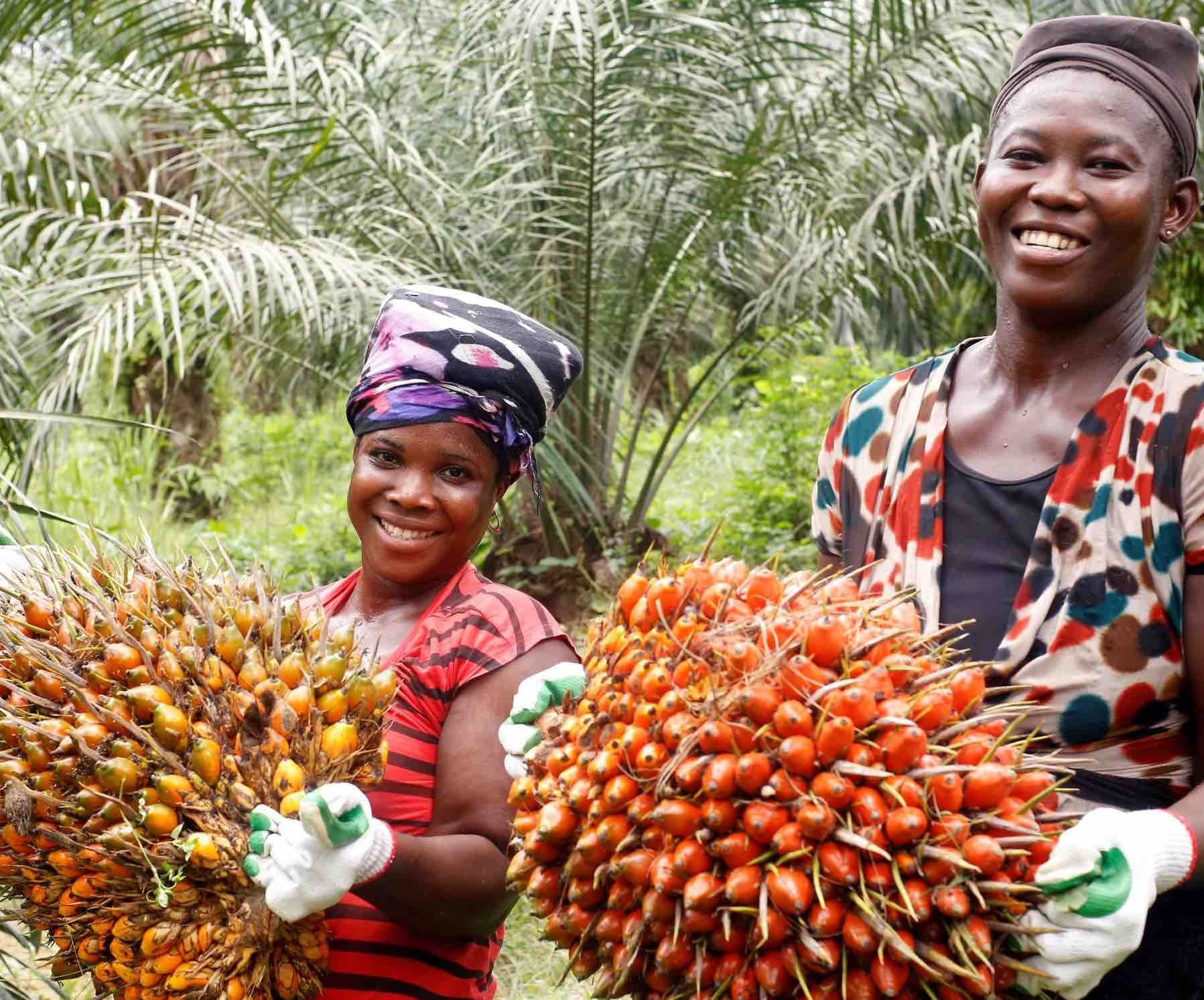 Oil palm products-smuggling on the rise