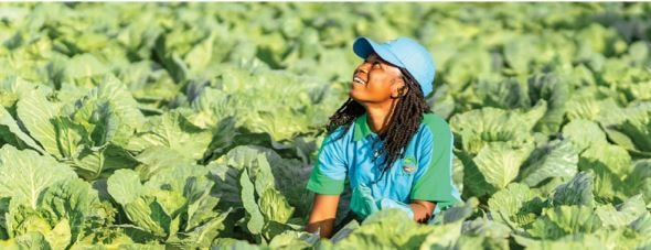 Agromonti fulfils pledge