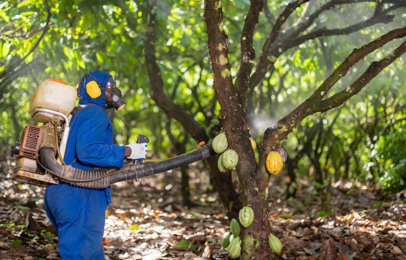 COCOBOD reforms show positive signs