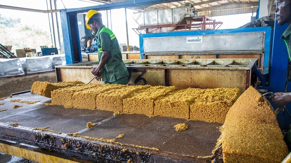 Reviving the natural rubber sector for economic growth: GIRSAL's contribution to the sector