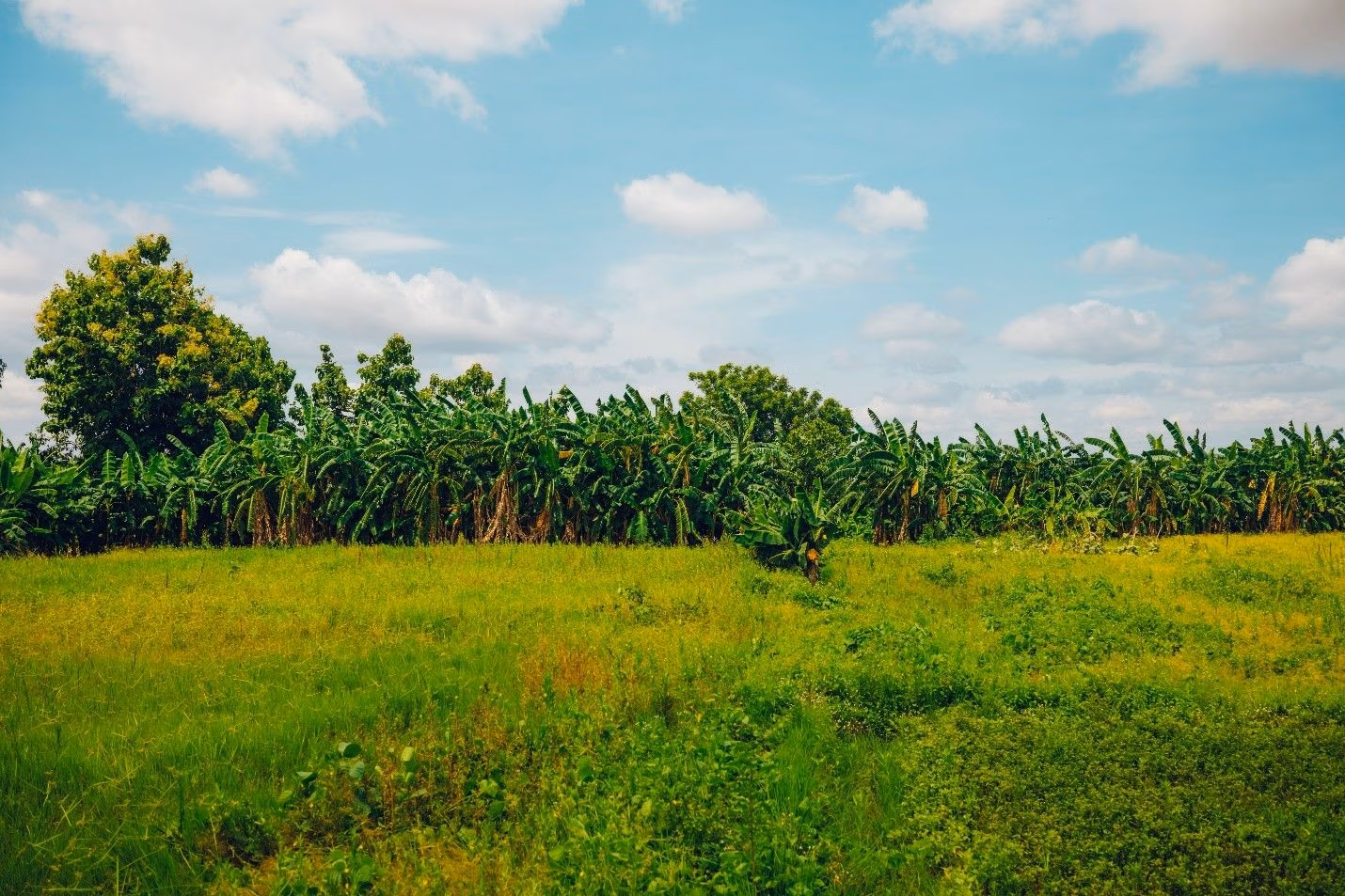 KIC start-ups are championing eco-friendly innovations towards a sustainable future
