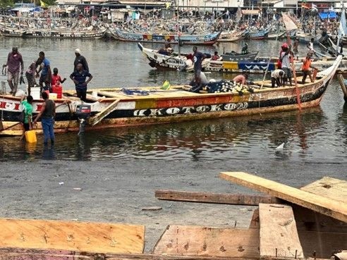 From abundance to scarcity: How fishing has transformed over the years