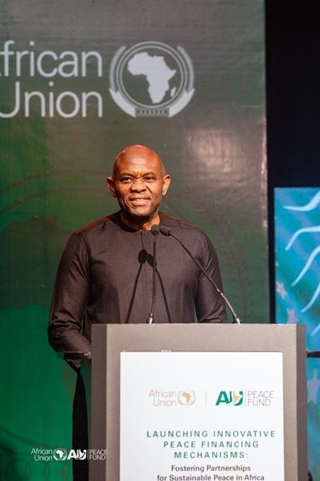 Tony Elumelu advocates for African Peace Fund