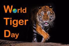 Special Piece in Celebrating World Tiger Day