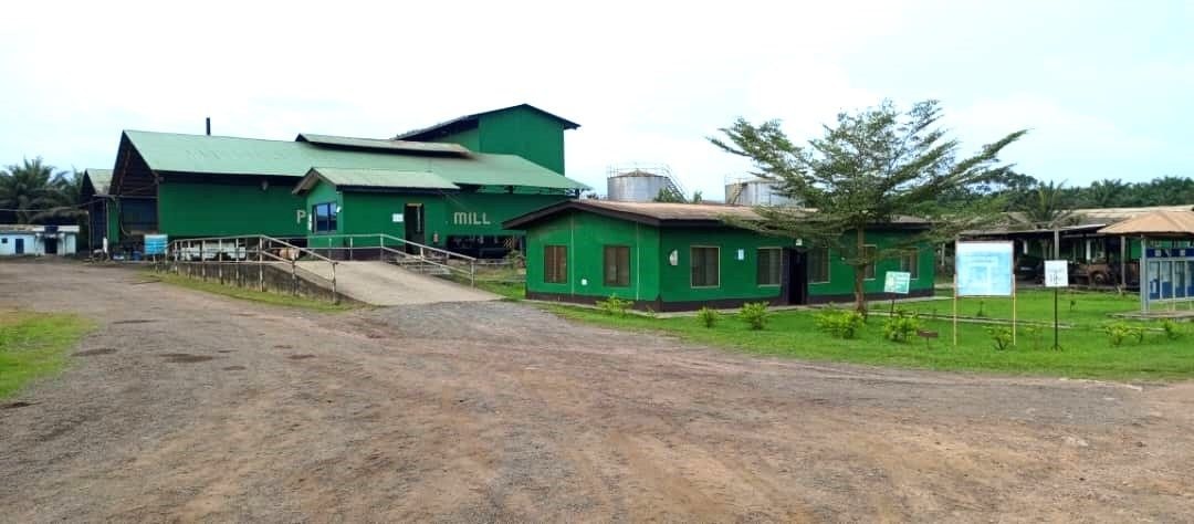 Moringa refute allegations by former CEO