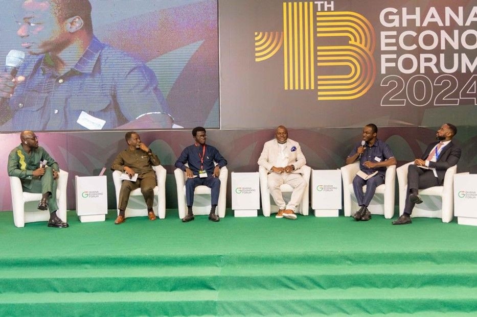 Energy sector faces financial crunch – panellists at GEF24
