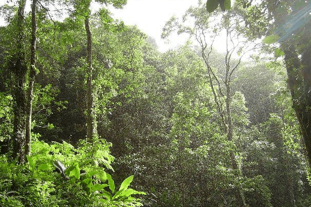 Editorial: Generate wealth from natural resource endowment