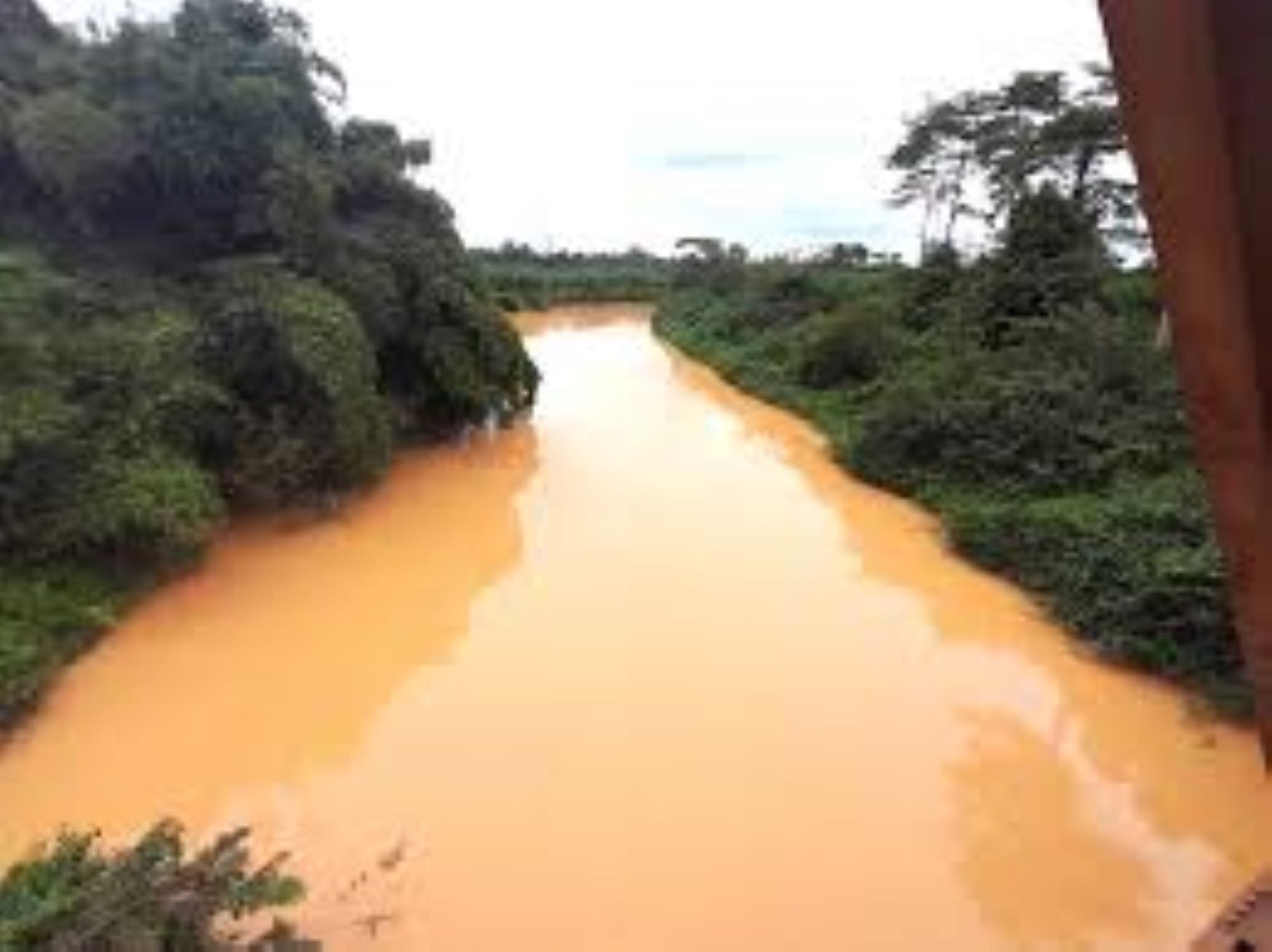 Editorial: Please, save our water-bodies!