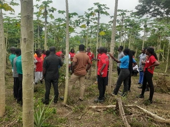 EU funds US$5m LEAN Project to plant 600,000 trees and transform local lives