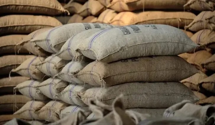 Editorial: Heightened risk of cocoa smuggling after Ivory Coast increases farm-gate price
