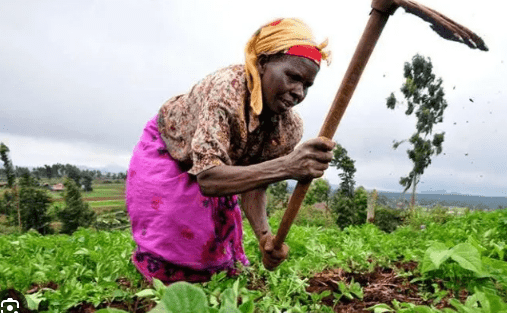 Honouring our gallant farmers: Four decades of commitment to agricultural progress